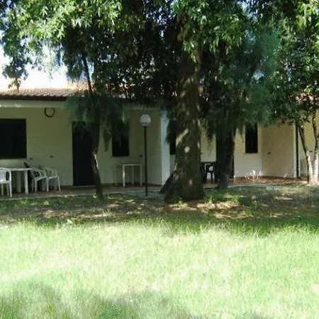 Vela Club